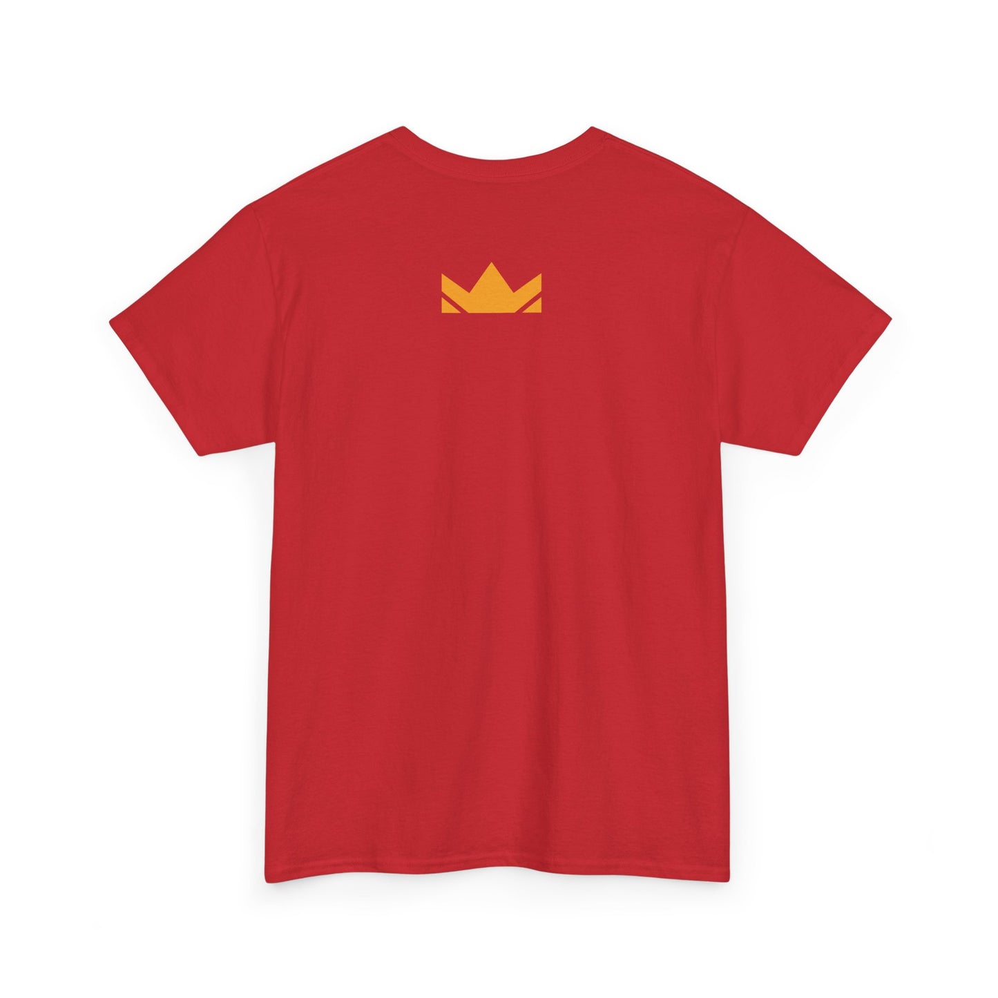 SWITZ - BIG & TALL - UNISEX HEAVY COTTON TEE