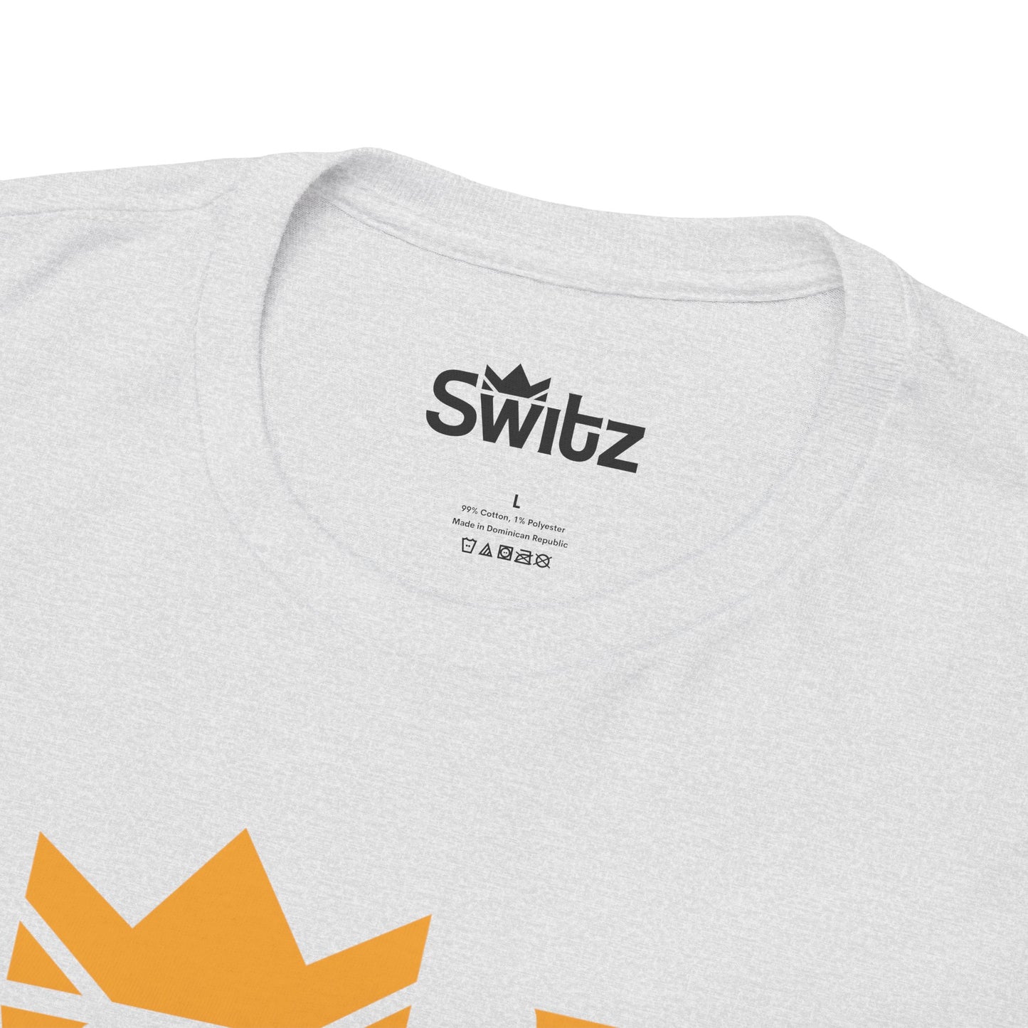 SWITZ - BIG & TALL - UNISEX HEAVY COTTON TEE
