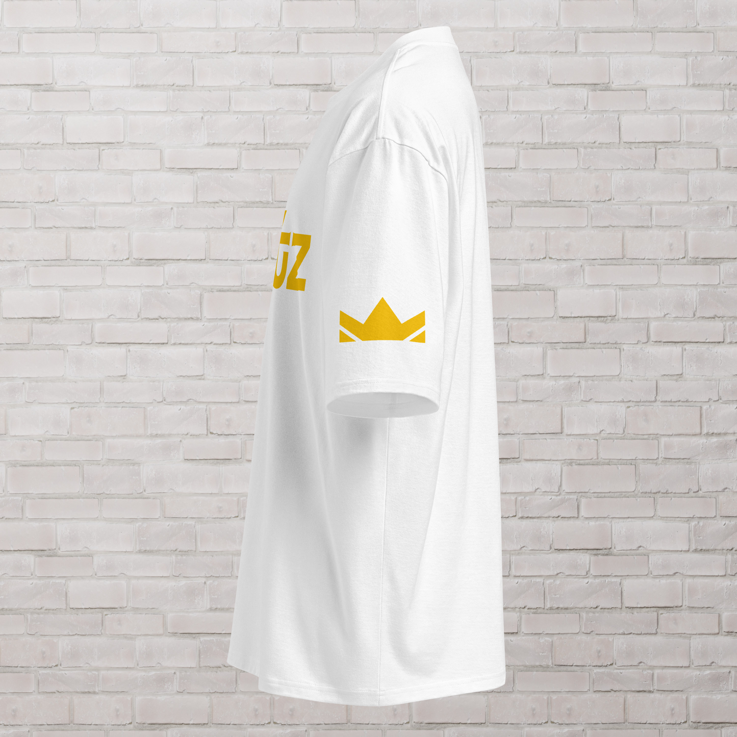 Oversized Switz heavyweight t-shirt